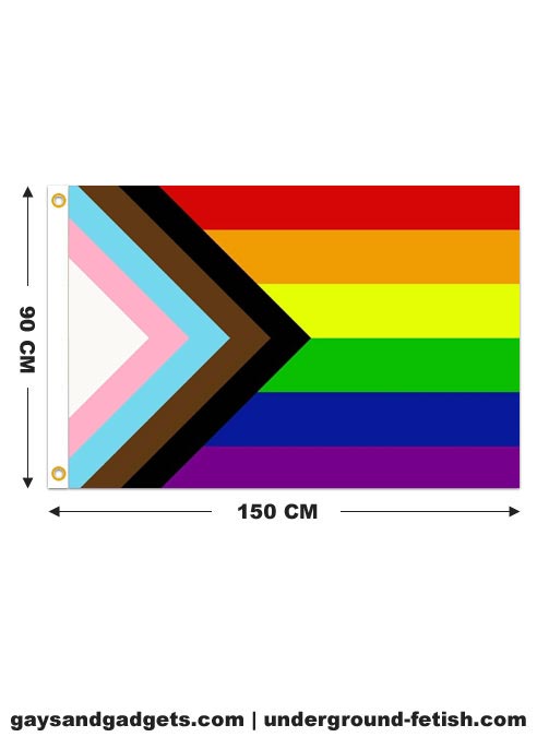 jungle Converteren bitter Progress Pride Flag Printed 90 x 150 cm - Gays & Gadgets Amsterdam